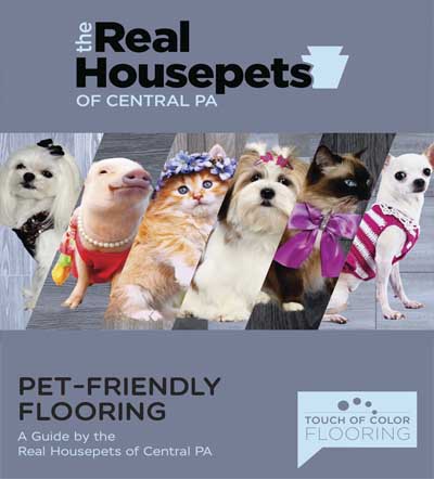 Touch of Colors of Harrisburg PET-FRIENDLY FLOORING
A Guide by the Real Housepets of Central PA